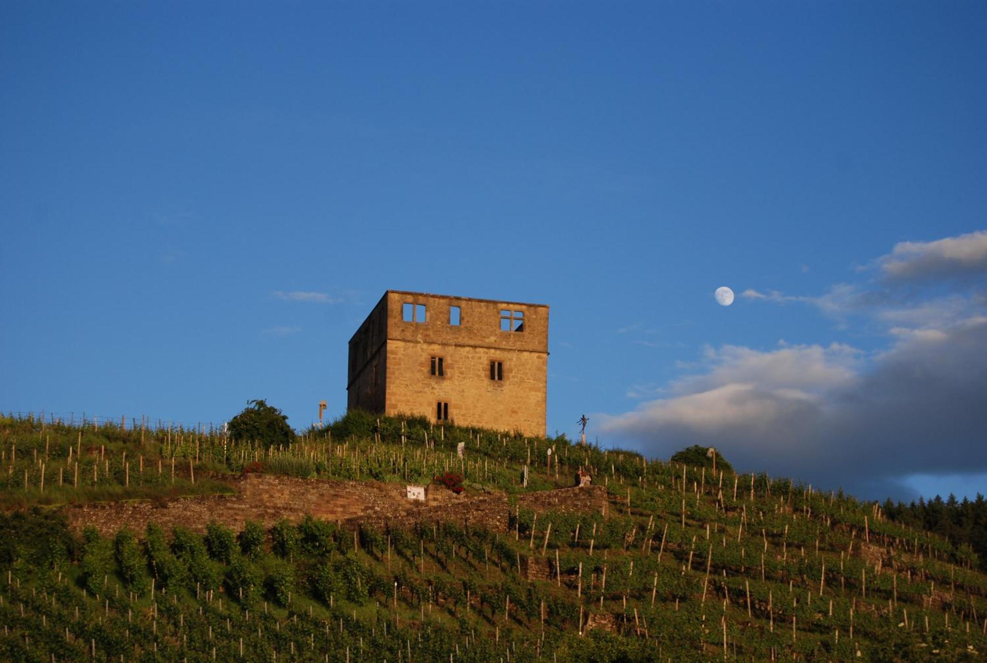 Unter Der Yburg Stetten 施泰滕 外观 照片