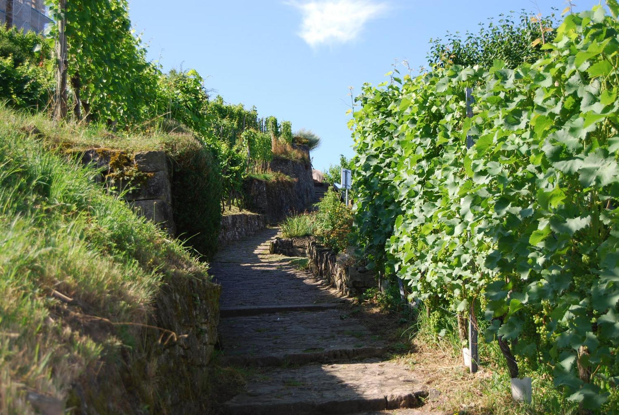 Unter Der Yburg Stetten 施泰滕 外观 照片