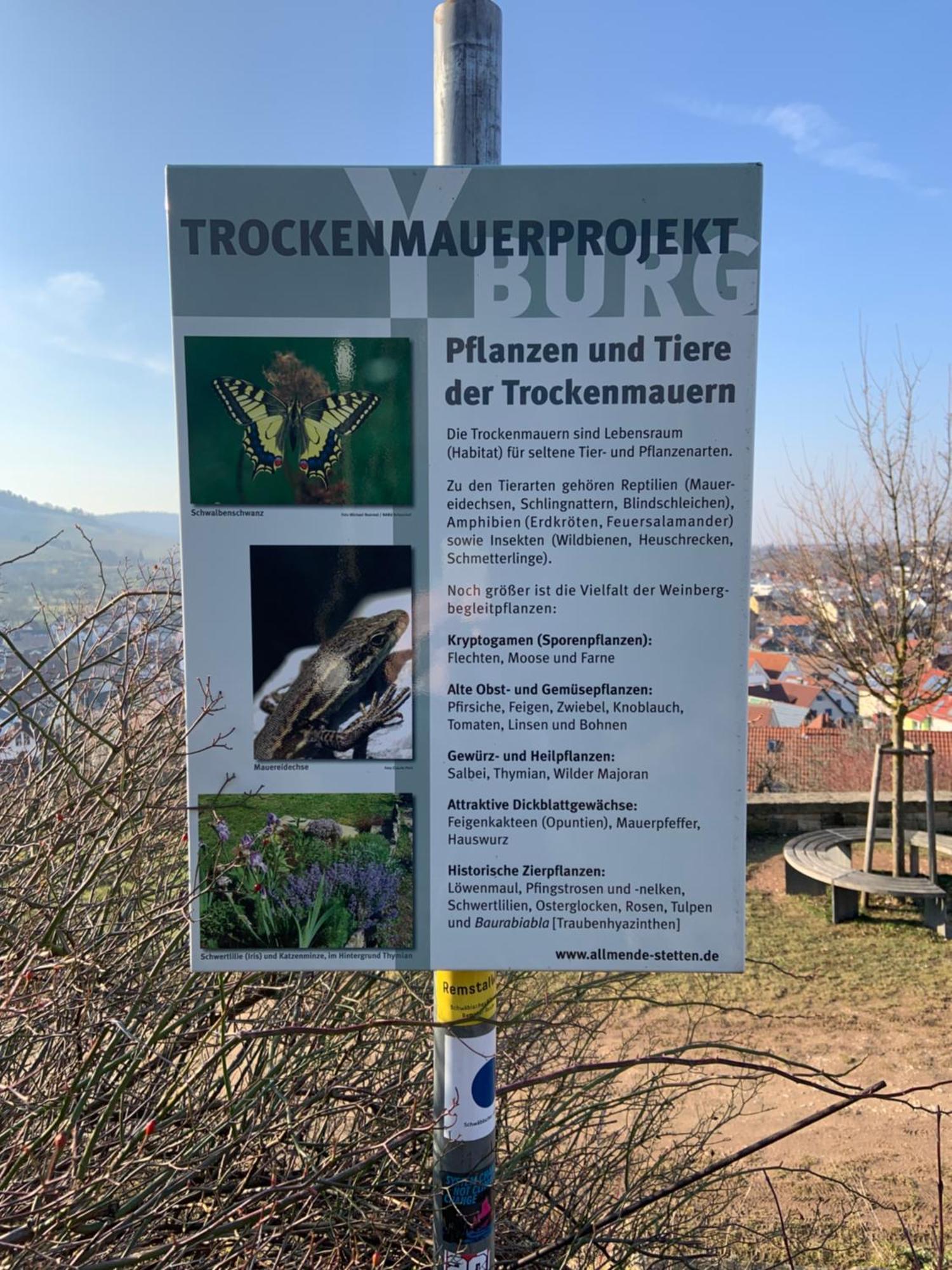Unter Der Yburg Stetten 施泰滕 外观 照片