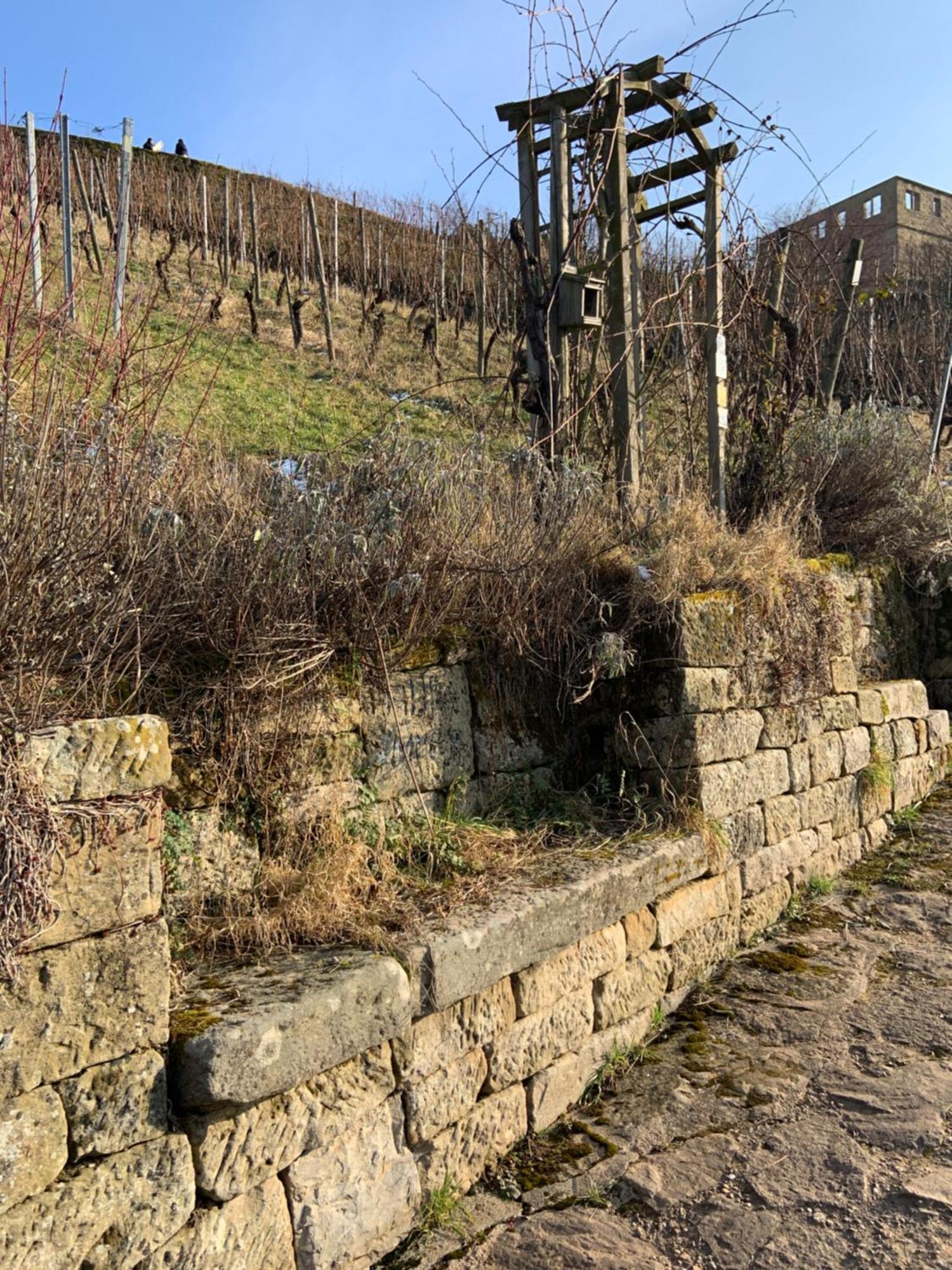 Unter Der Yburg Stetten 施泰滕 外观 照片